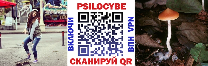 kraken ТОР Десногорск Галлюциногенные грибы ЛСД